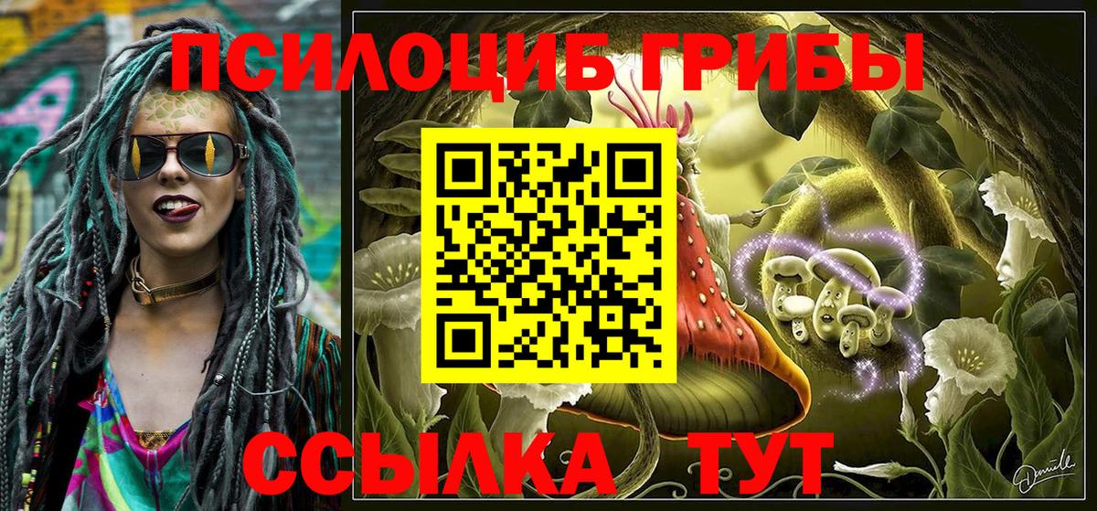 Галлюциногенные грибы MAGIC MUSHROOMS Богданович