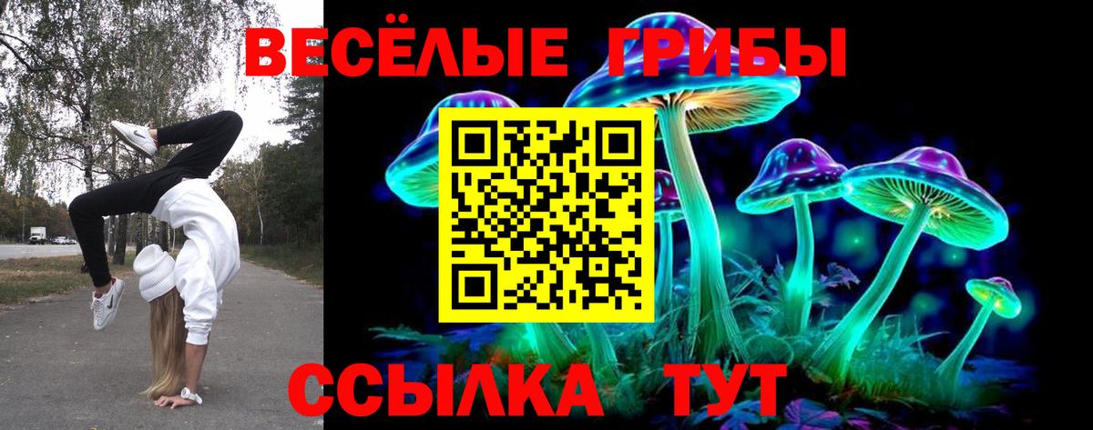 Богданович  Псилоцибиновые грибы MAGIC MUSHROOMS  Вход с VPN 