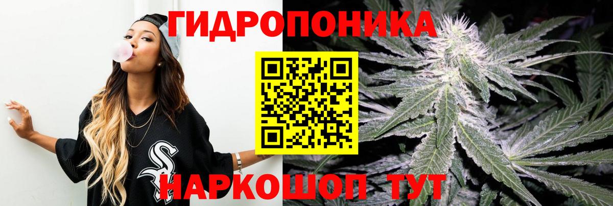 Бошки Шишки семена Богданович